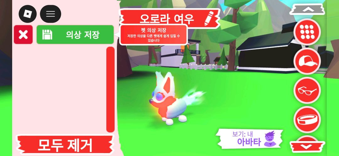 입양하세요 펫 메가네온 오로라 여우 판매합니다 이미지