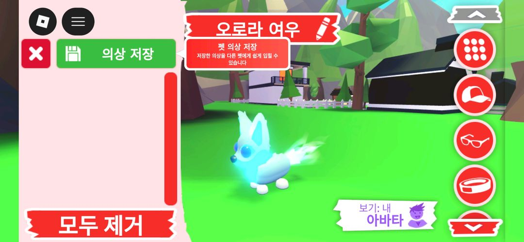 입양하세요 펫 메가네온 오로라 여우 판매합니다 이미지