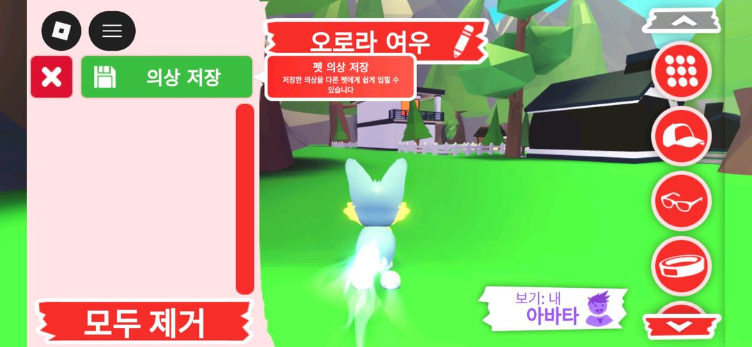 입양하세요 펫 메가네온 오로라 여우 판매합니다 이미지