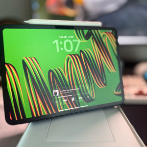 Apple iPad Pro 11 M4 256GB Wi-Fi 블랙 이미지