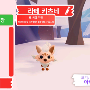 입양하세요 펫 라떼 키츠네 판매합니다 이미지