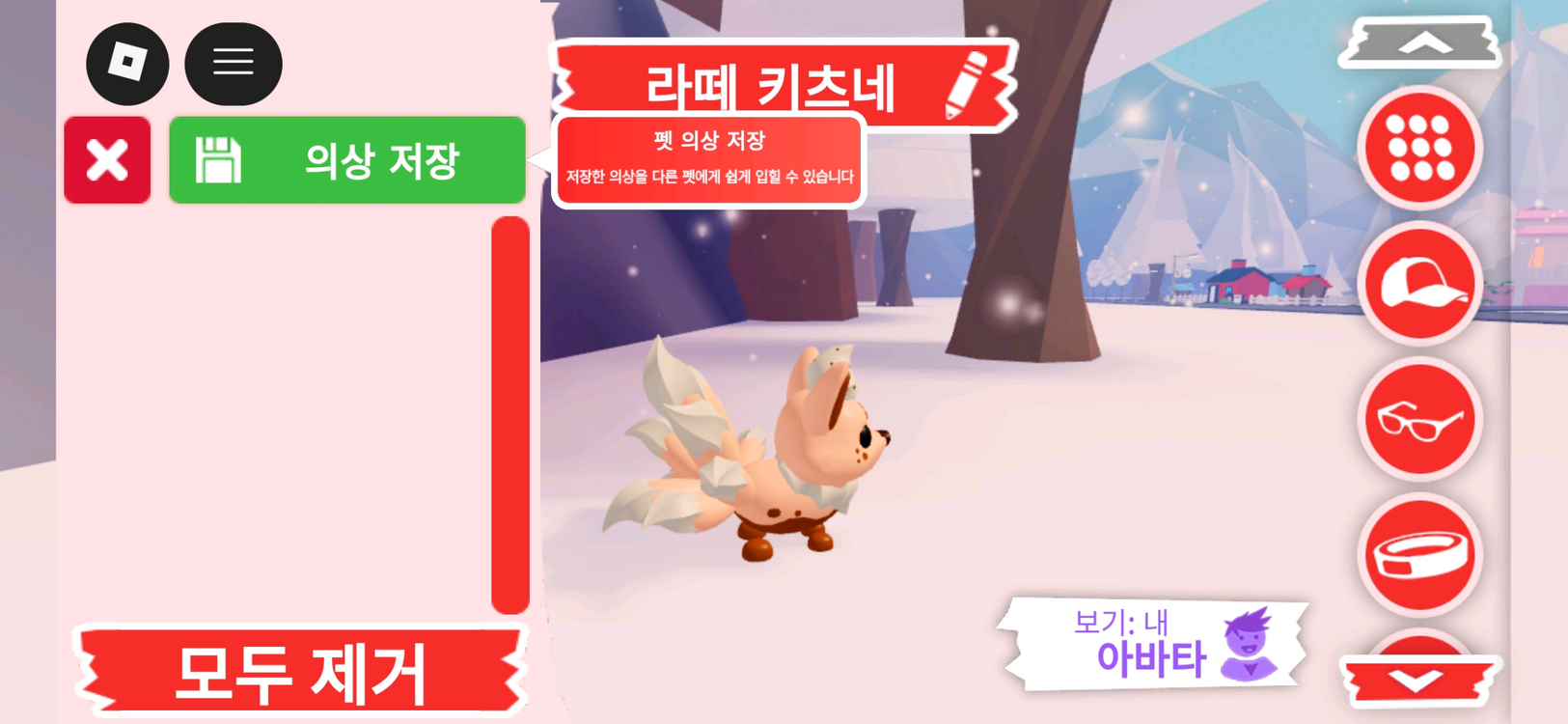 입양하세요 펫 라떼 키츠네 판매합니다 이미지