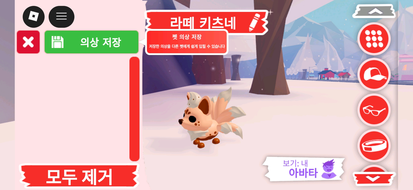 입양하세요 펫 라떼 키츠네 판매합니다 이미지