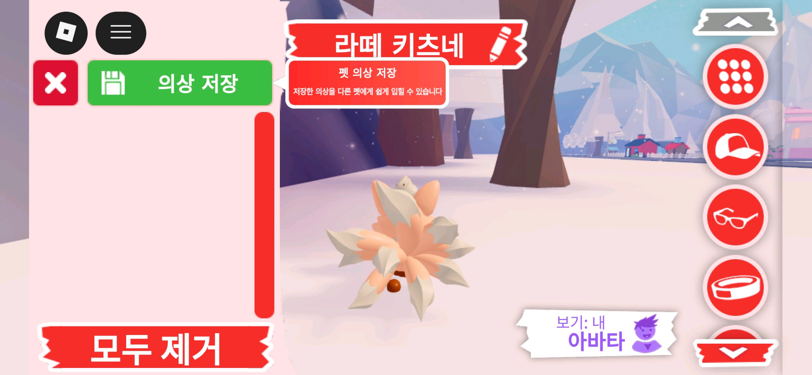 입양하세요 펫 라떼 키츠네 판매합니다 이미지