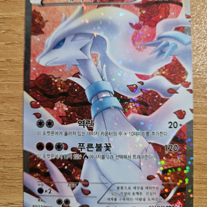 포켓몬카드 샤이니 컬렉션 레시라무 이미지