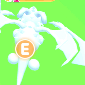 입양하세요 얼드팝니다! 이미지