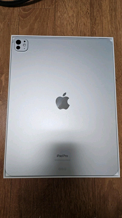 아이패드프로13 M4 실버 256 애플케어x 배터리 효율 100 이미지