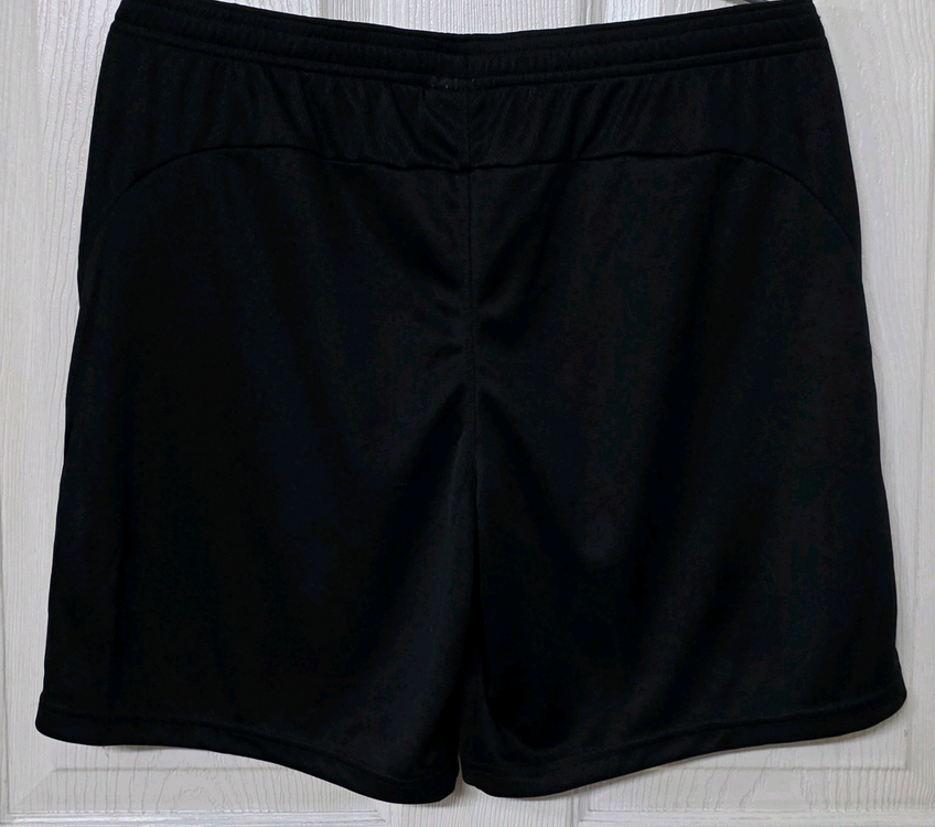 [L] 20-22 대한민국 축구 국가대표 코치 지급용 트레이닝 탑&쇼츠(반바지) 이미지