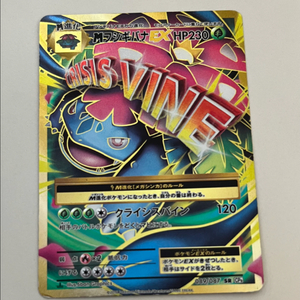 20주년 메가 이상해꽃ex 포켓몬카드 일판 이미지