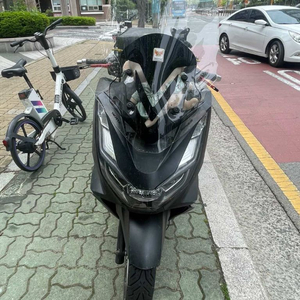 혼다 pcx125 21년식 블랙 이미지