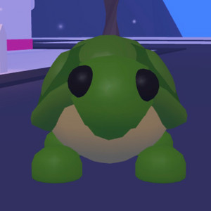 입양하세요 FR날타 거북이 판매 이미지