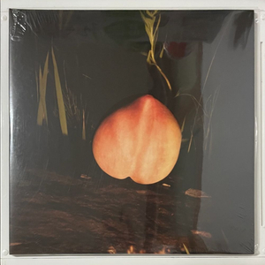 The Monotones (더 모노톤즈) Into The Night LP 이미지