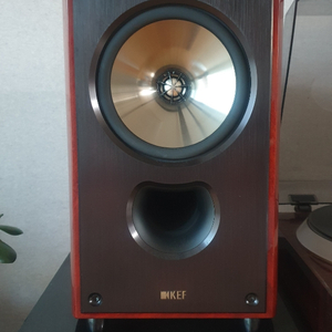 kef xq20 북셀프 스피커 이미지