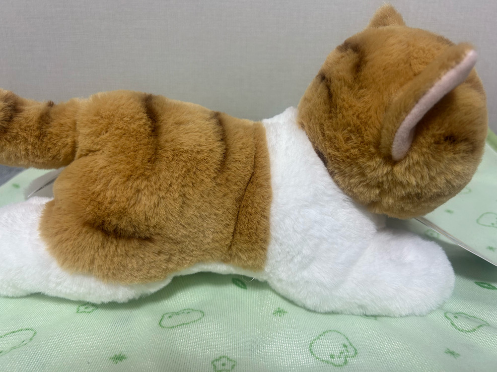 다이소 고양이 인형(오로라 시리즈) 이미지