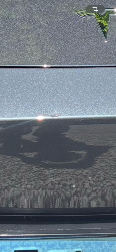 2021년 테슬라 모델Y 스탠다드 20인치 55,000km 팝니다.(서울) 이미지