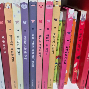 새상품 라라랜드, 놀라운자연, 자연이랑, 도레미곰 이미지