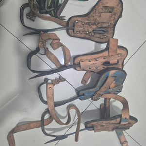 나무 오르기 발톱 세트 이미지