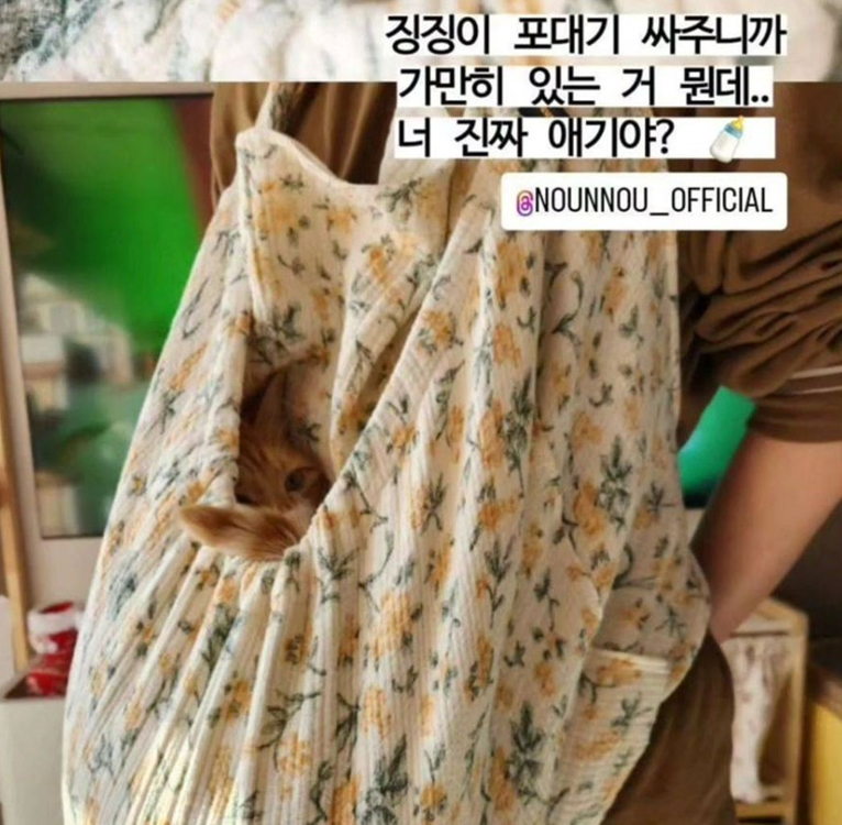 누앤누 실내용 포대기 담요 (강아지/고양이) 이미지
