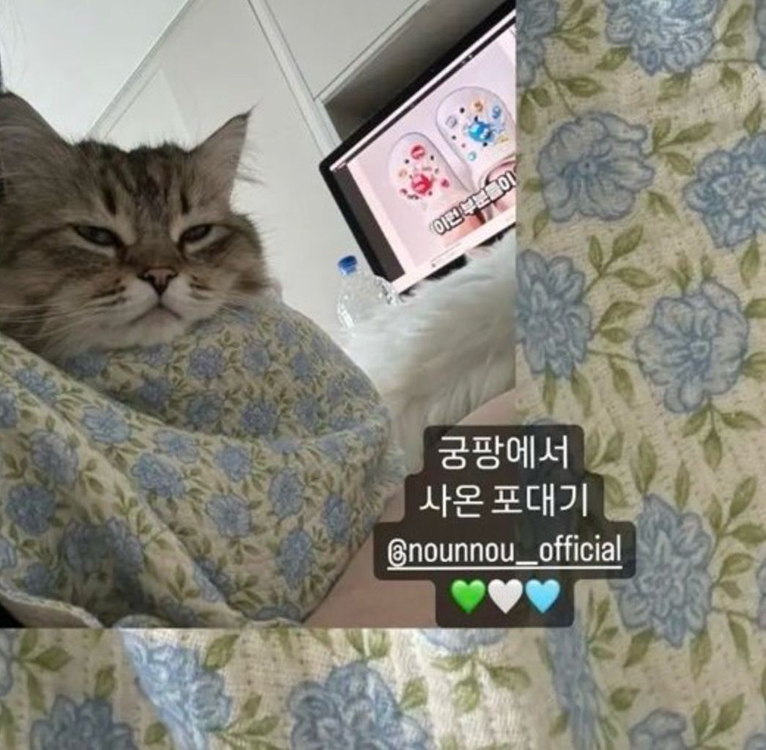 누앤누 실내용 포대기 담요 (강아지/고양이) 이미지
