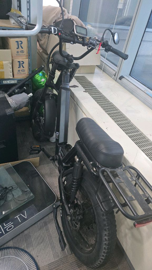 바이로와일드 전기자전거 2대 이미지