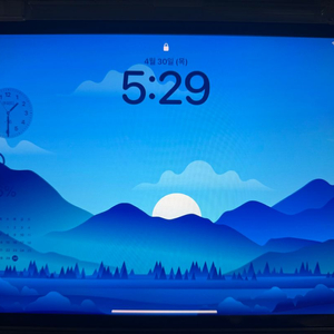 아이패드 프로 11 2세대 128GB wifi 이미지