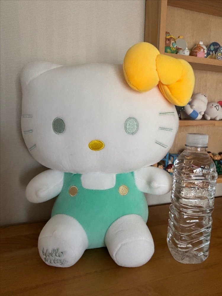 키티 중형인형 이미지