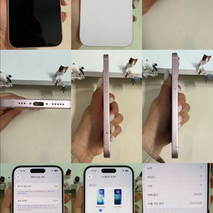 아이폰15 256G 핑크 SSS급! 이미지