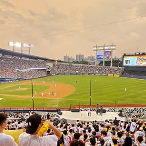 5월5일 두산 VS LG 야구 테이블석 티켓 판매 이미지