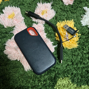 샌디스크 포터블 SSD 500GB / 외장하드 이미지