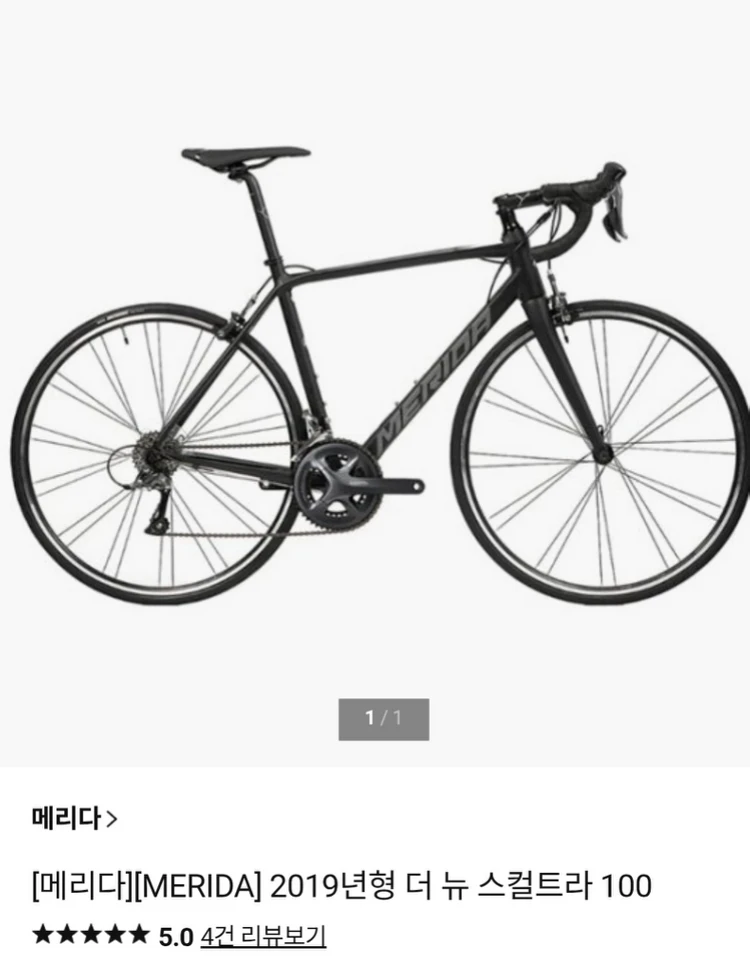 메리다 더 뉴 스컬트라100 19년식 이미지