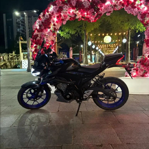 스즈키 GSX-S125 이미지