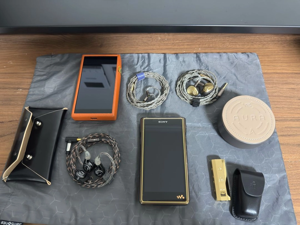 비전이어스 ve ak aura,아스텔앤컨 sp3000골드,sony nw-wm1zm2,디타오디오 퍼페츄어 한정판 판매 - 안심되는 중고거래