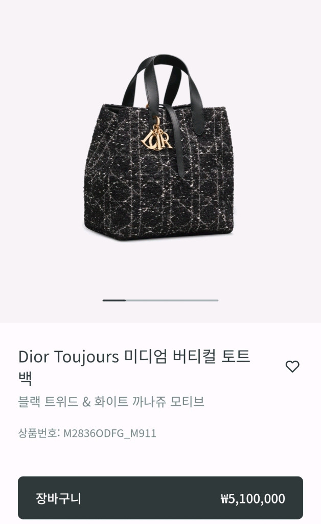 디올 뚜즈흐 미듐 도트백 (새상품급) 이미지
