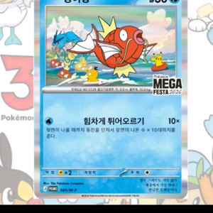 잉어킹 프로모 카드 이미지