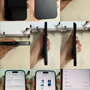 아이폰15 256G 블랙 A급! 이미지