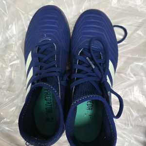 아디다스 프레데터 축구화 225 이미지