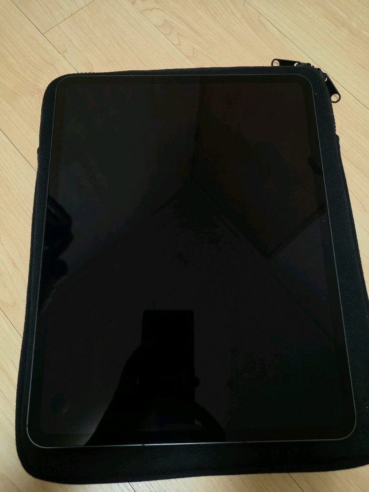 아이패드프로 M5 13인치 셀룰러 블랙 256GB 이미지