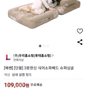 [미개봉] 헤쎈 에어소파베드 수퍼싱글 1개 판매해요. 이미지