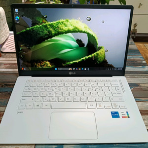 LG 그램 14Z95N-GP5KL 이미지