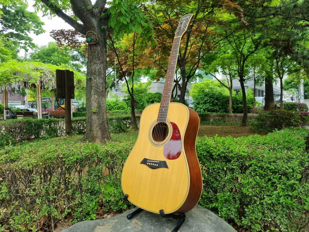 입문용 통기타 인기제품 데임 기타 판매합니다 이미지