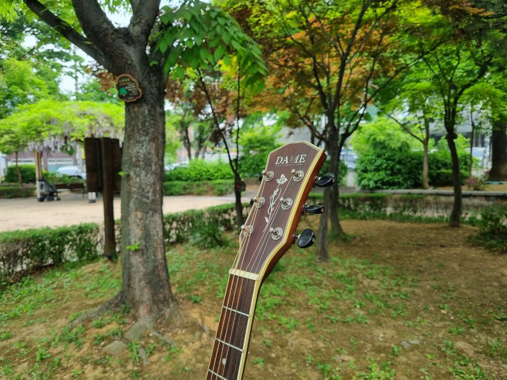 입문용 통기타 인기제품 데임 기타 판매합니다 이미지
