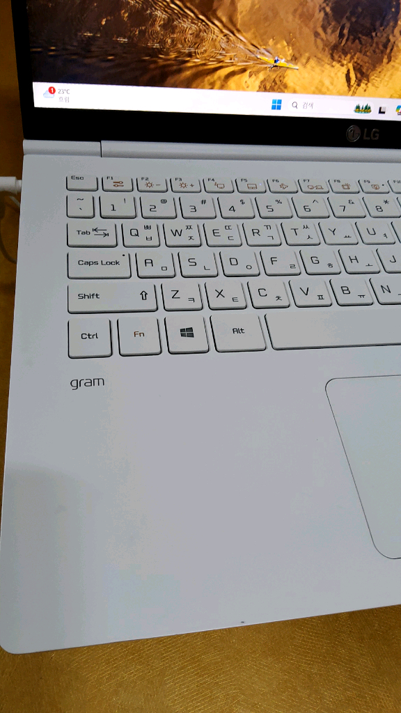 LG그램 i5-10210U 15ZB995-GP5ALF 이미지