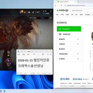 롤 개인 팀 대리 맡김 기사 듀오 강의 리그오브레전드 lol 챌린저 이미지
