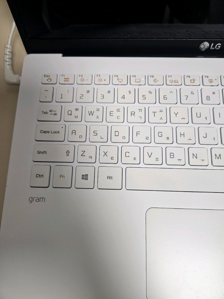 LG 그램 i5 11세대 15Z95N-GP55ML 이미지