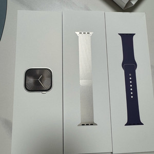 애플워치10 티타늄네츄럴 46mm 이미지
