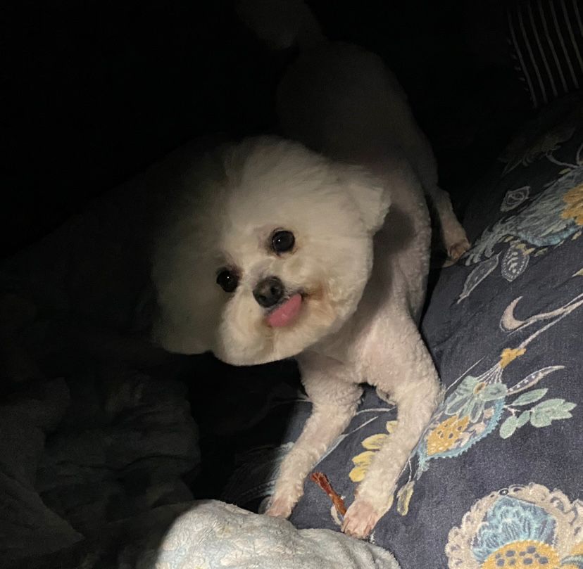 프로필 이미지