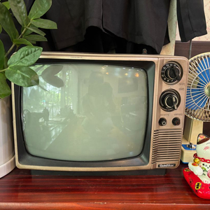 빈티지, 레트로 TV (금성) 이미지