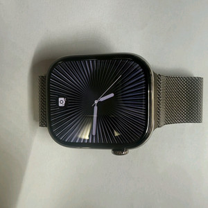 애플워치 11 티타늄 46mm 내추럴 컬러 이미지