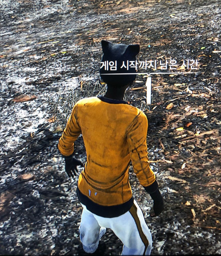 배그 따거룩 주황 씨챔 기간제, 순왕 장갑 확률 상자 이미지