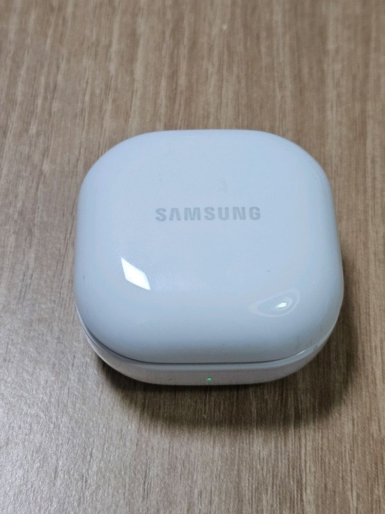 버즈FE 그라파이트 충전본체 SM-R400N 이미지